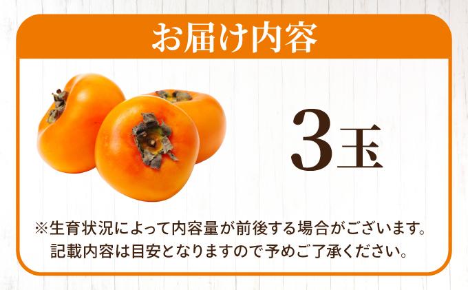 福岡より直送！種がほとんどない新ブランド 柿 秋王 3玉（2026年10月以降発送）| 甘柿 太秋柿 富有柿フルーツ くだもの 果物 送料無料 福岡県 那珂川市