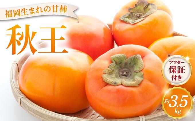 福岡より直送！種がほとんどない新ブランド柿 秋王 約3.5kg（2026年10月以降発送）|甘柿 太秋柿 富有柿 フルーツ くだもの 果物 送料無料 福岡県 那珂川市