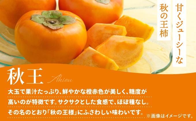 福岡より直送！種がほとんどない新ブランド柿 秋王 約3.5kg（2026年10月以降発送）|甘柿 太秋柿 富有柿 フルーツ くだもの 果物 送料無料 福岡県 那珂川市