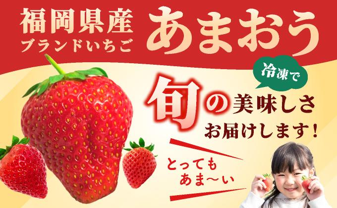 福岡県産 冷凍あまおう 合計500g