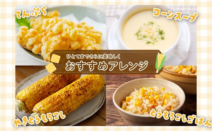 【先行予約】朝採れ スイートコーン 約2.5kg（5～6本入り）2026年5月末より発送