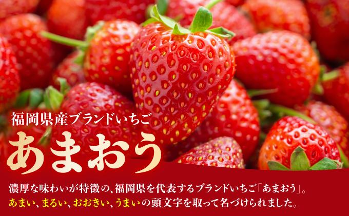 凍っても濃厚！冷凍 いちご 博多あまおう 1kg【やまや】