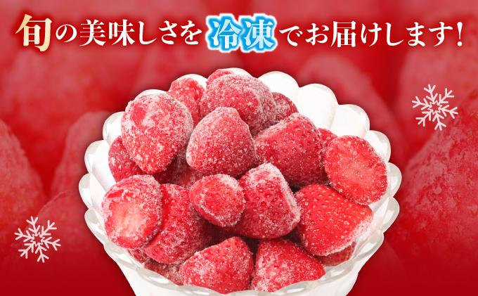 凍っても濃厚！冷凍 いちご 博多あまおう 1kg【やまや】
