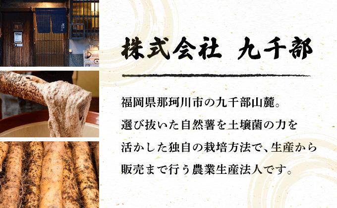 【先行予約】自然薯「九千部朱薯」600g～650g（2本）