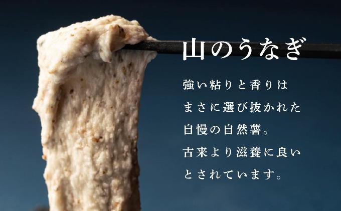 【先行予約】自然薯「九千部朱薯」600g～650g（2本）