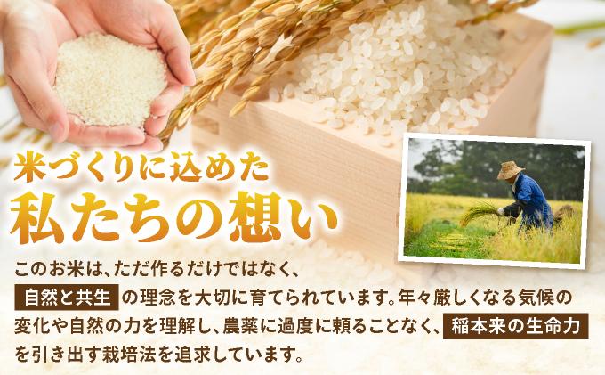 【令和7年度産】藤の米(ふじのまい) 10kg(5kg×2袋)【フジノ農園】