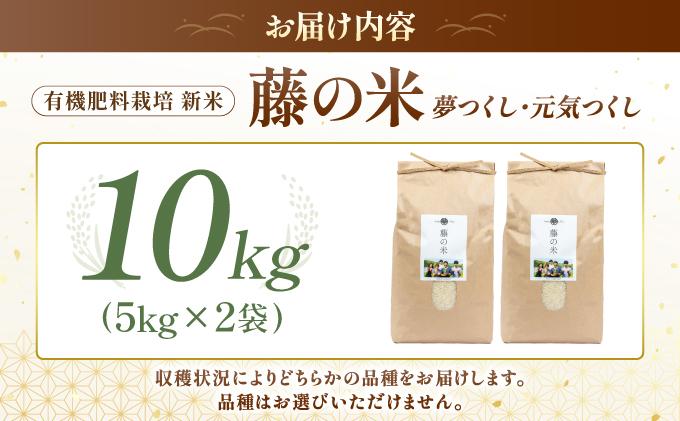【令和7年度産】藤の米(ふじのまい) 10kg(5kg×2袋)【フジノ農園】