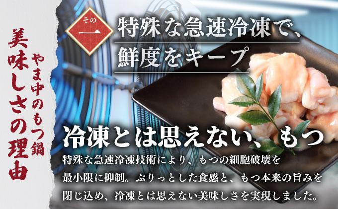 もつ鍋 しょうゆ味 3～4人前【博多もつ鍋やま中】