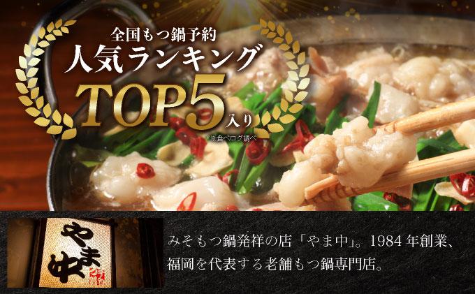 もつ鍋 みそ味 3～4人前【博多もつ鍋やま中】