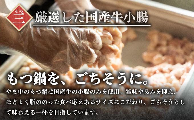 もつ鍋 みそ味 3～4人前【博多もつ鍋やま中】