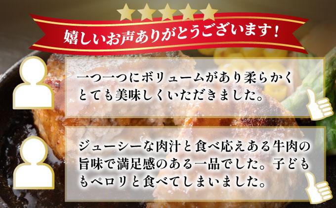 ＜定期便・全8回＞博多和牛100％！贅沢本格 手ごねハンバーグ 10個【久田精肉店】|国産牛 ブランド牛 ブランド和牛 無添加 肉汁 ジューシー 福岡県産 国産牛 100% 個包装 小分け 冷凍 惣菜 おかず お弁当 夕食 時短 簡単調理 送料無料 福岡県 那珂川市