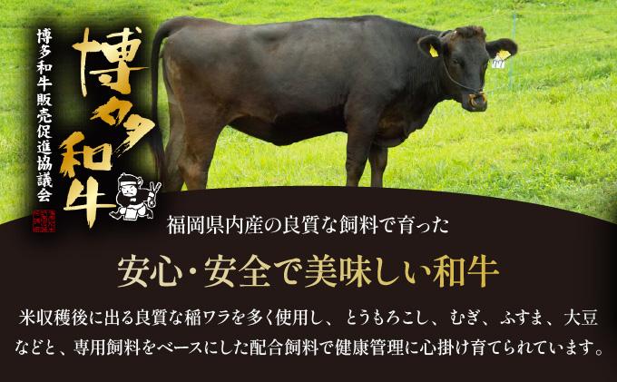 ＜定期便・全2回＞博多和牛 ヒレ シャトーブリアン（ダイヤモンドカット） 200g×5枚【久田精肉店】|ヒレステーキ ステーキ 赤身 ヒレ ヒレ肉 フィレ ヘレ 牛肉 黒毛和牛 国産 ブランド牛 ブランド和牛 肉 和牛 希少部位 黒毛和牛 冷凍 送料無料 福岡県 那珂川市