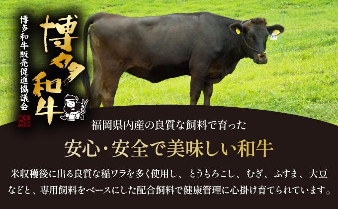 ＜定期便・全10回＞博多和牛 サーロイン ステーキ 200g×3枚【久田精肉店】