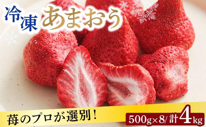 自然環境農法 福岡県産 冷凍あまおう 4kg