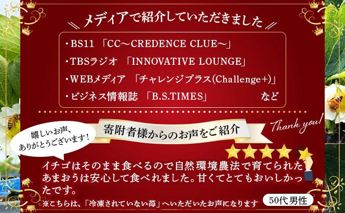 自然環境農法 福岡県産 冷凍あまおう 4kg