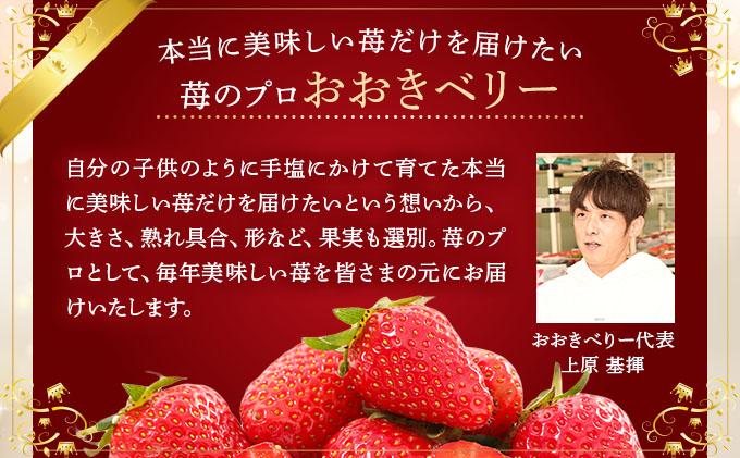 自然環境農法 福岡県産 冷凍あまおう 4kg