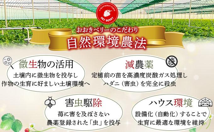 自然環境農法 福岡県産 冷凍あまおう 4kg