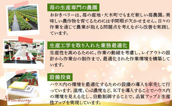 自然環境農法 福岡県産 冷凍あまおう 4kg