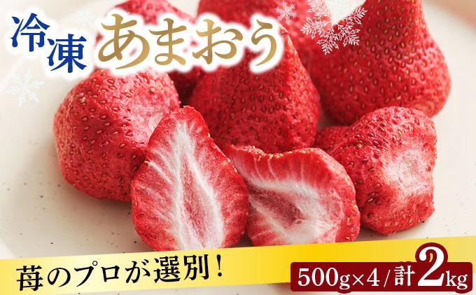 自然環境農法 福岡県産 冷凍あまおう 2kg