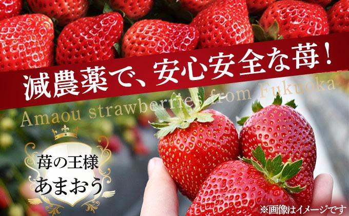 自然環境農法 福岡県産 冷凍あまおう 2kg