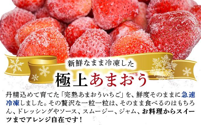 自然環境農法 福岡県産 冷凍あまおう 2kg