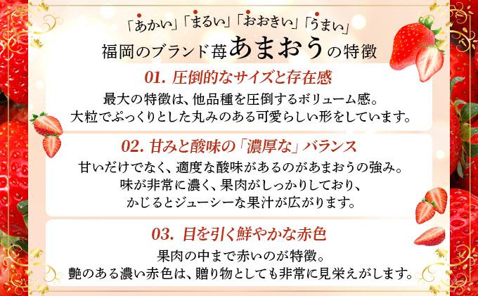 自然環境農法 福岡県産 冷凍あまおう 2kg