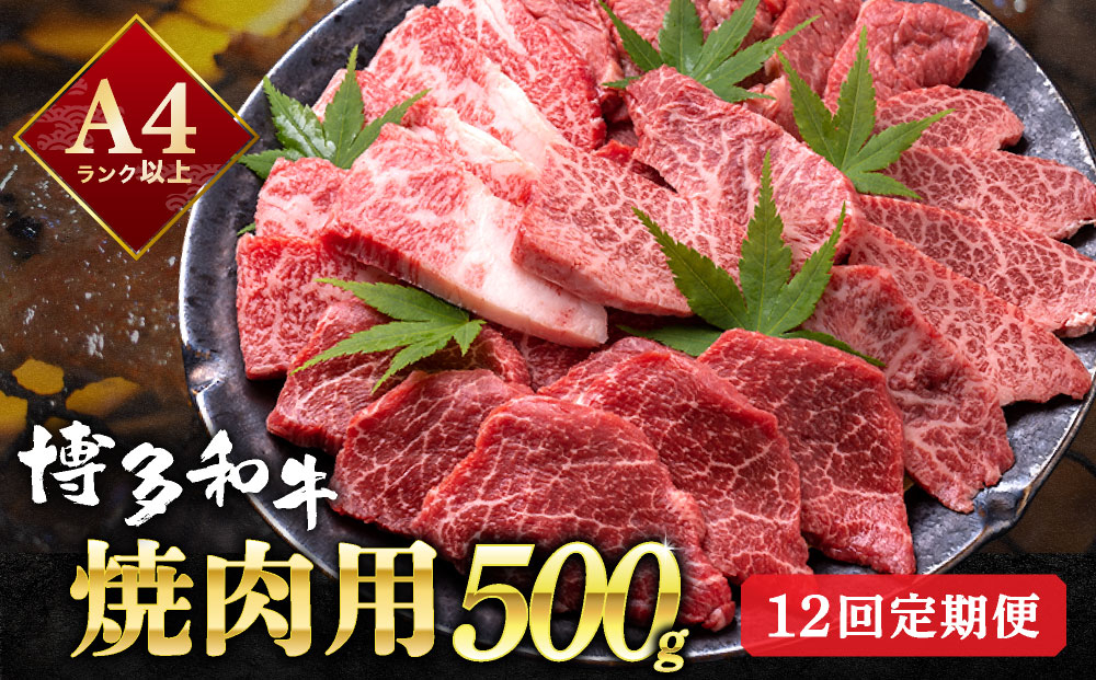 ＜定期便・全12回＞【和牛の焼肉セット！】博多和牛 焼肉用 500g 牛肉 肉  焼肉 国産 黒毛和牛