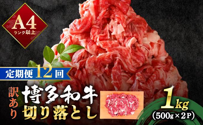 ＜定期便・全12回＞【訳あり】博多和牛 切り落とし 1kg（500g×2）