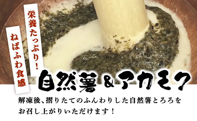 ≪定期便・全3回≫【磯の風味が香る】ふわふわとろろ! 那珂川産 博多自然薯 アカモク とろろ 60g×6個