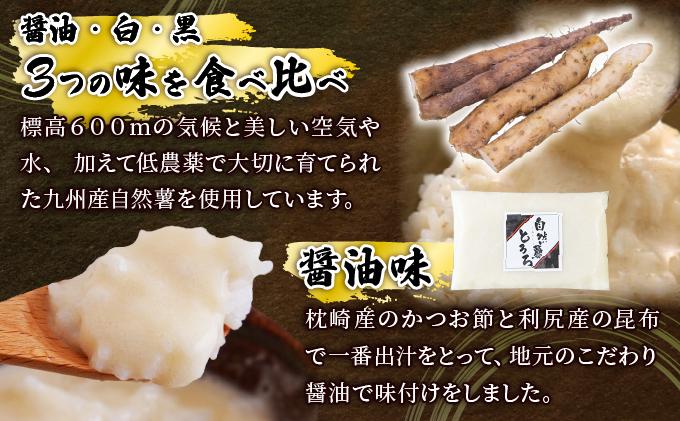 ＜定期便・全6回＞本格自然薯とろろ 味くらべセット（醤油/白/黒）各3個 計9個|自然薯 小分け じねんじょ とろろ 山芋 やまいも 長芋 ながいも ご飯のお供 おつまみ 酒の肴 山かけ 麦とろ そば うどん 鉄火巻 鉄火丼 冷凍 送料無料 福岡県 那珂川市