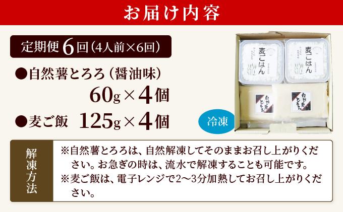 ＜定期便・全6回＞味付け不要！本格自然薯麦とろセット（4人前）