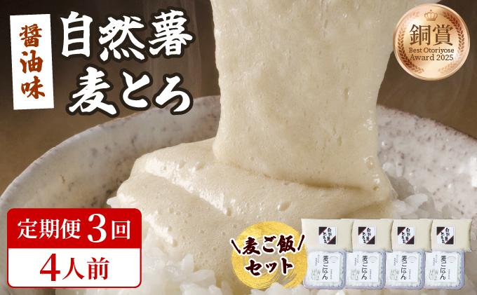 ＜定期便・全3回＞味付け不要！本格自然薯麦とろセット（4人前）