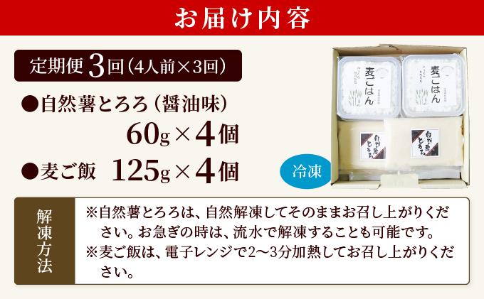 ＜定期便・全3回＞味付け不要！本格自然薯麦とろセット（4人前）