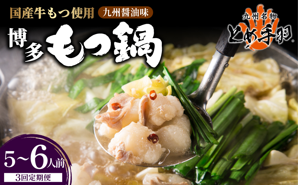 ＜定期便・全3回＞九州名物 とめ手羽 博多 もつ鍋 セット 九州しょうゆ味 5-6人前