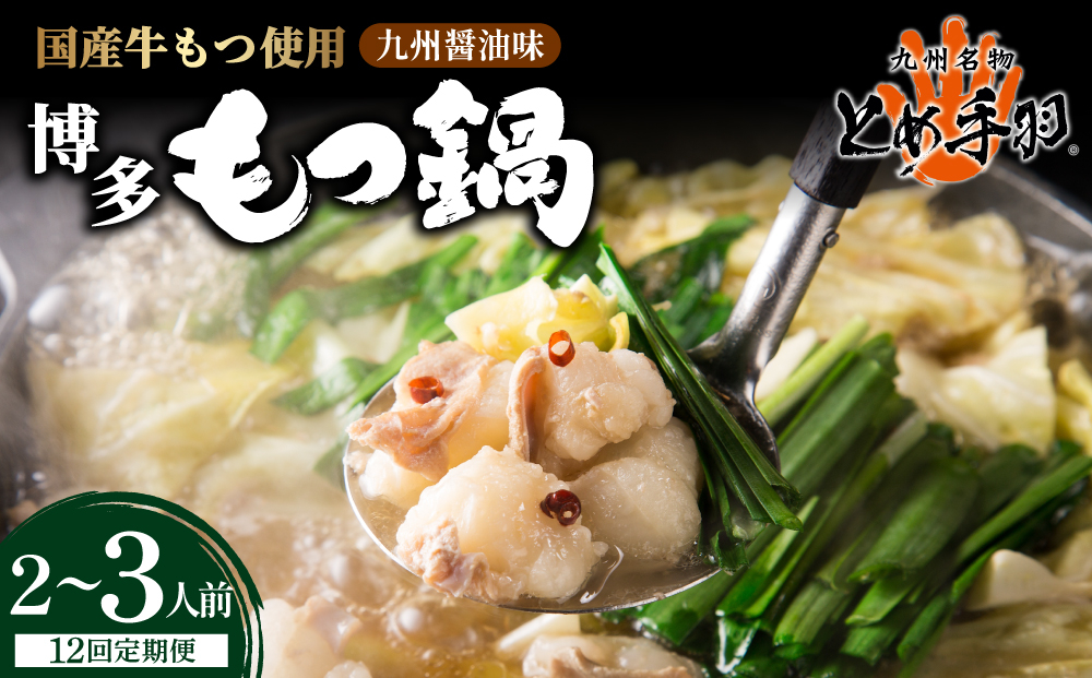 ＜定期便・全12回＞九州名物 とめ手羽 博多 もつ鍋 セット 九州しょうゆ味 2-3人前