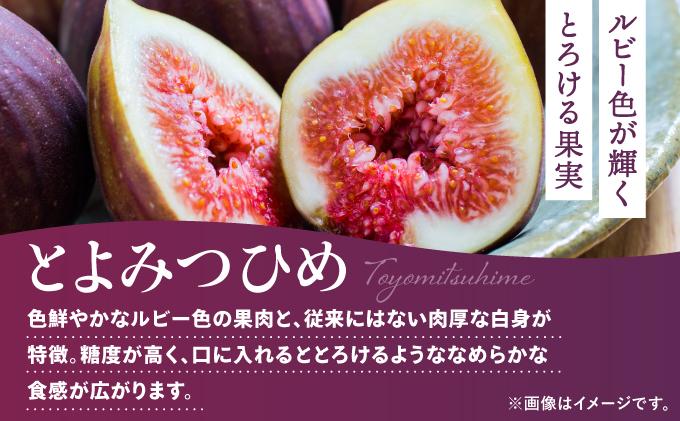 【先行予約】福岡県オリジナル品種 とよみつひめ 約1.2kg（2026年9月以降発送）