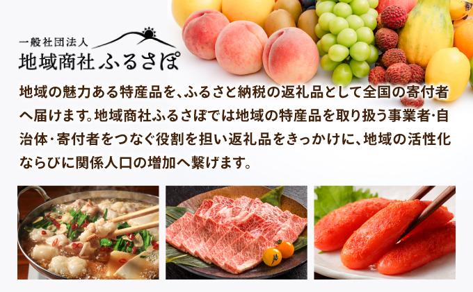 【先行予約】福岡県オリジナル品種 とよみつひめ 約1.2kg（2026年9月以降発送）