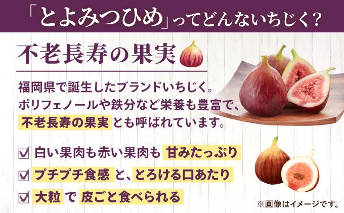 【先行予約】福岡県オリジナル品種 とよみつひめ 約1.2kg（2026年9月以降発送）