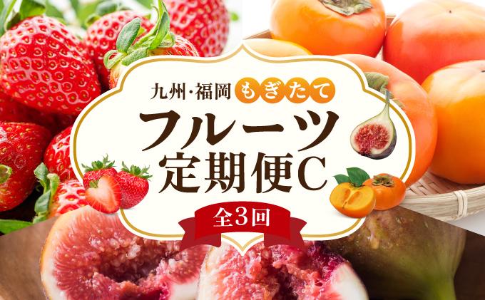 ＜定期便・全3回＞九州・福岡もぎたて フルーツ定期便 C
