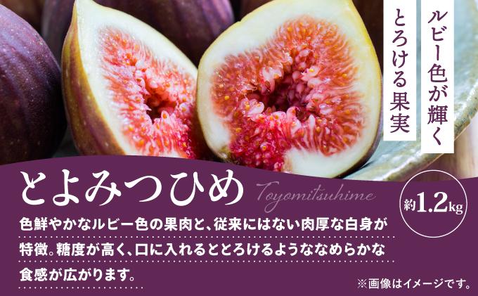 ＜定期便・全3回＞九州・福岡もぎたて フルーツ定期便 C