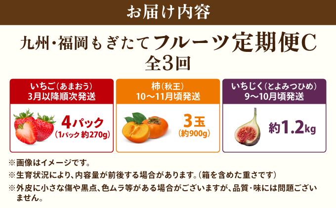 ＜定期便・全3回＞九州・福岡もぎたて フルーツ定期便 C