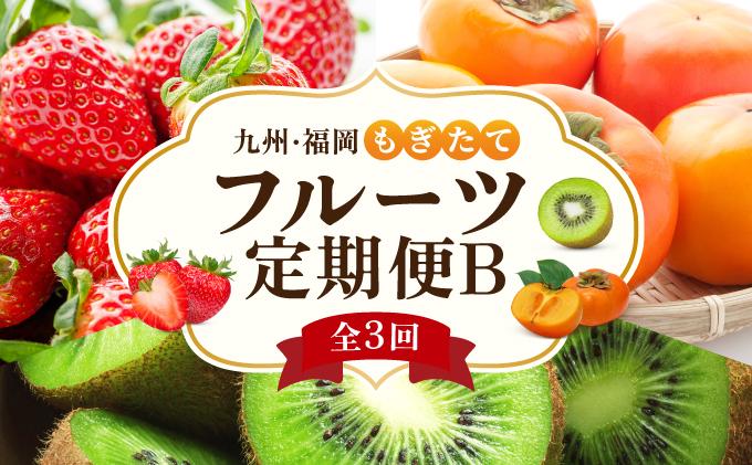 ＜定期便・全3回＞九州・福岡もぎたて フルーツ定期便 B