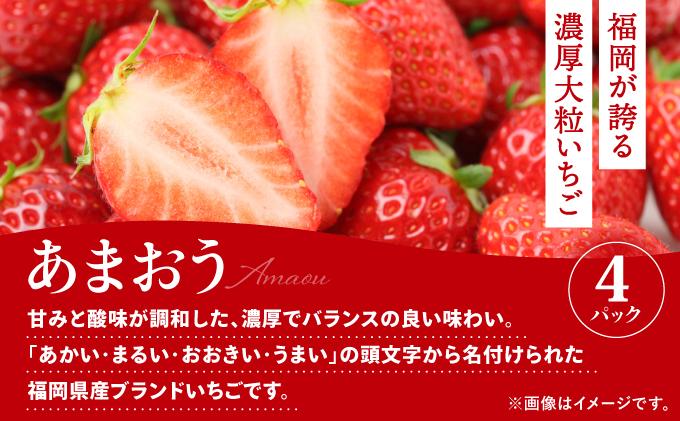 ＜定期便・全3回＞九州・福岡もぎたて フルーツ定期便 B