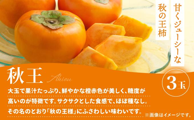 ＜定期便・全3回＞九州・福岡もぎたて フルーツ定期便 B