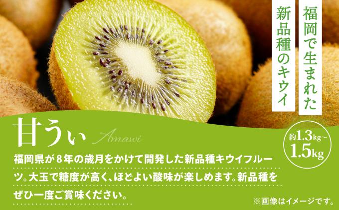 ＜定期便・全3回＞九州・福岡もぎたて フルーツ定期便 B