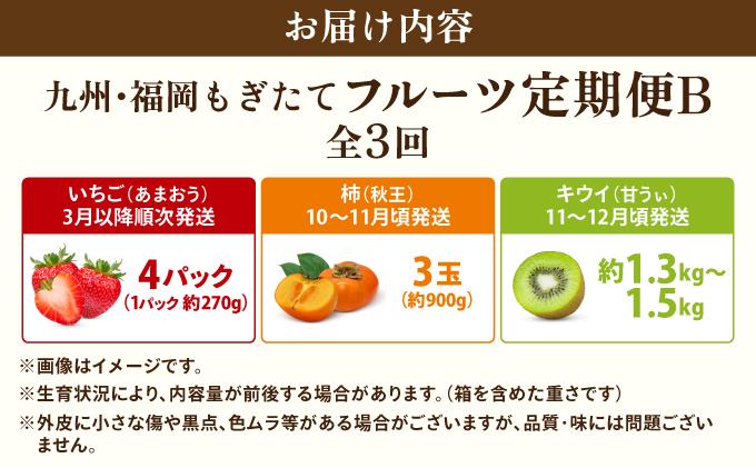 ＜定期便・全3回＞九州・福岡もぎたて フルーツ定期便 B