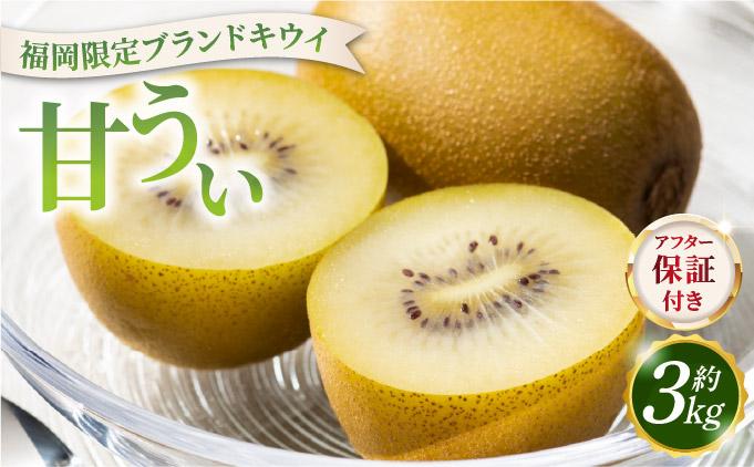 【先行予約】希少 キウイ 甘うぃ 約3kg（2026年11月以降発送）