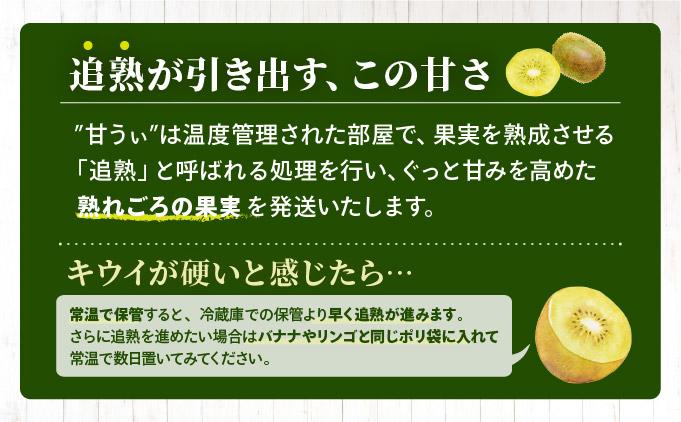 ãå
è¡äºçŽãåžå° ããŠã€ çãã çŽ3kgïŒ2026幎11æä»¥éçºéïŒ