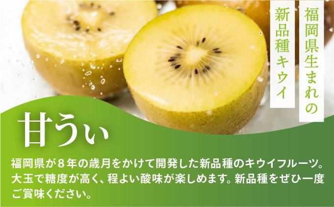 ãå
è¡äºçŽãåžå° ããŠã€ çãã çŽ3kgïŒ2026幎11æä»¥éçºéïŒ