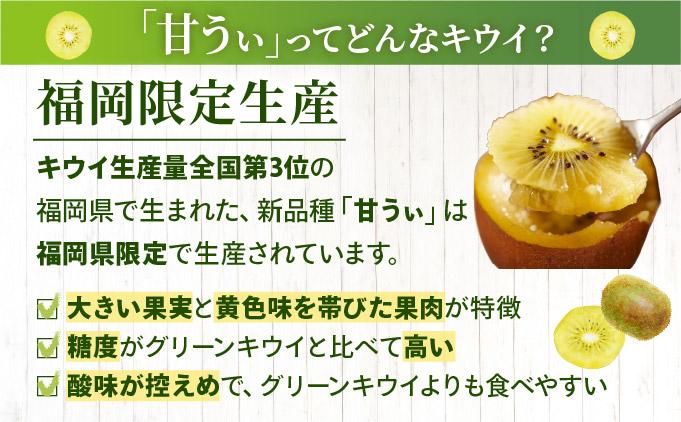 ãå
è¡äºçŽãåžå° ããŠã€ çãã çŽ3kgïŒ2026幎11æä»¥éçºéïŒ